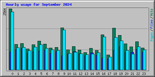 Hourly usage for September 2024