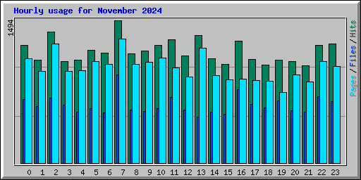 Hourly usage for November 2024