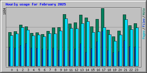 Hourly usage for February 2025